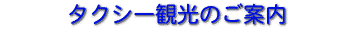 �^�N�V�[�ό��̂��ē�